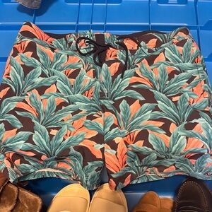 American Eagle Outfitters Leaf Print Athletic Shorts - Black and Green